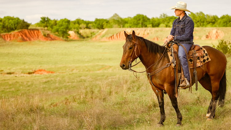 Cody on horseback in field 